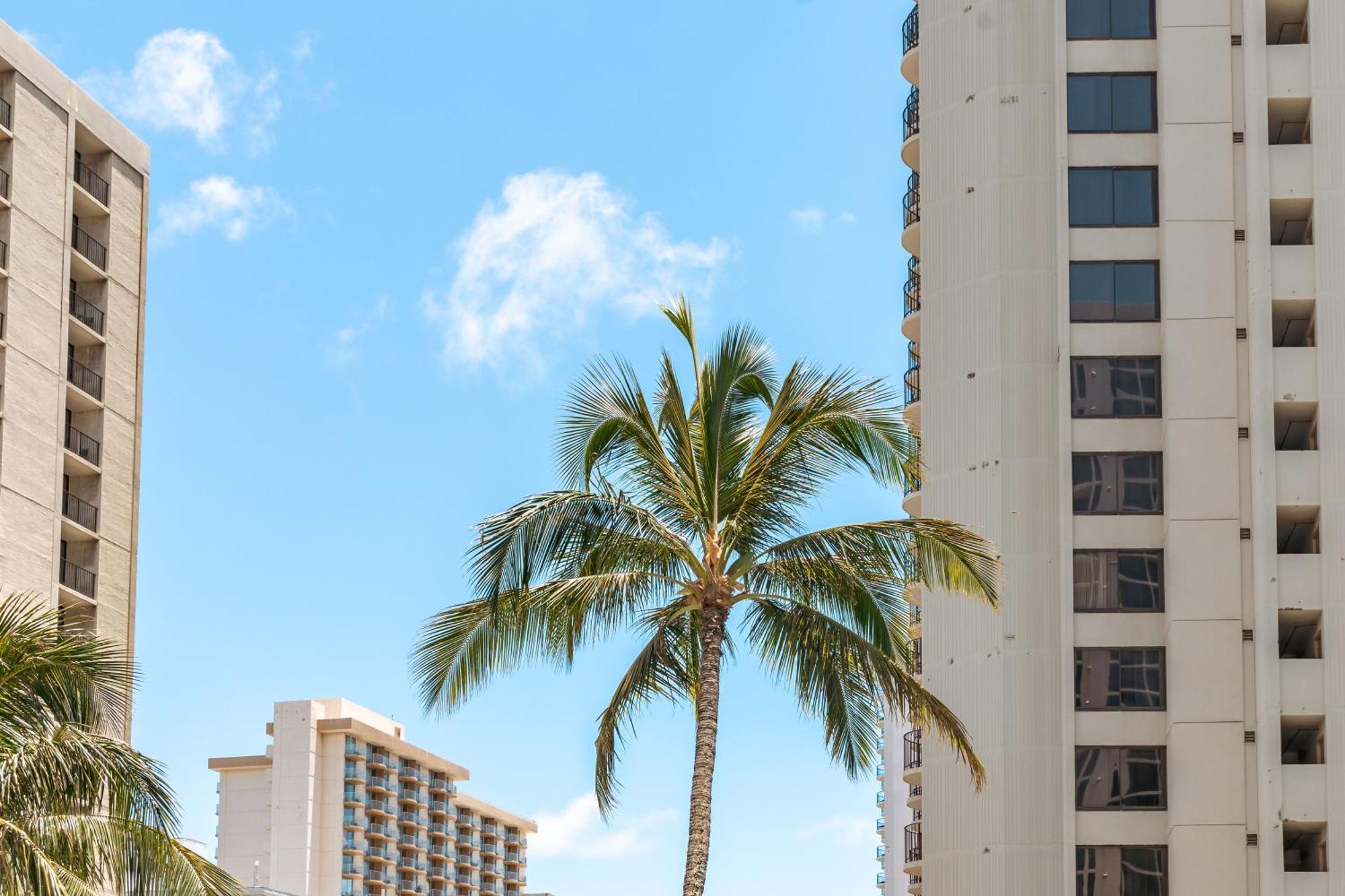 Апартаменти Beautiful Ocean And Diamond Head Views With Parking Гонолулу Екстер'єр фото