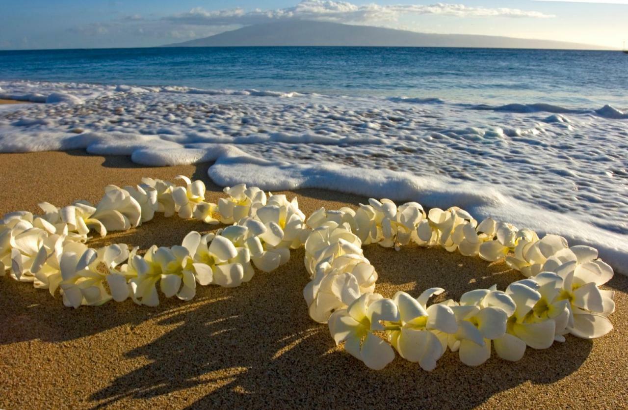 Апартаменти Beautiful Ocean And Diamond Head Views With Parking Гонолулу Екстер'єр фото